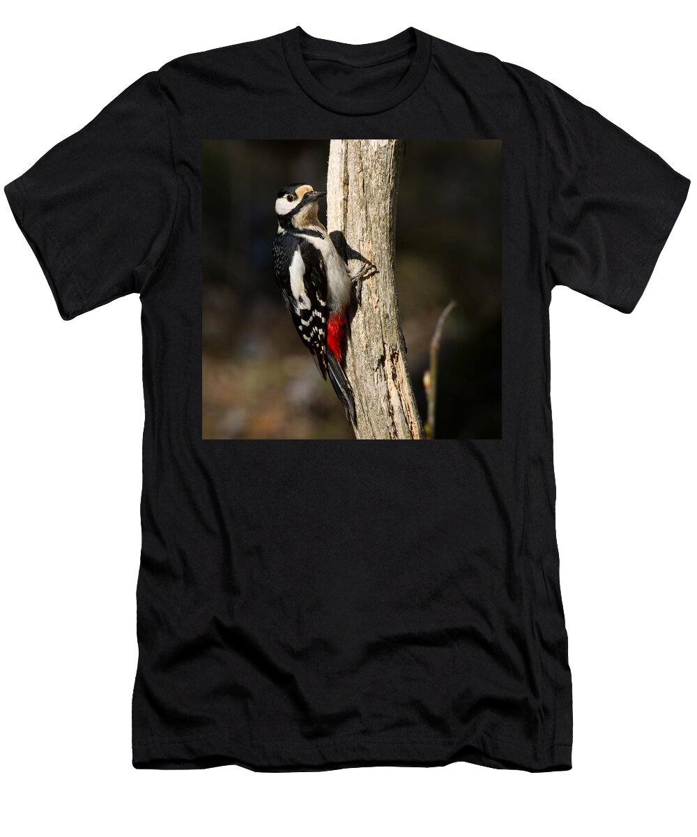 Great Spotted Woodpecker T-Shirt featuring the photograph Great Spotted Woodpecker #1 by Torbjorn Swenelius