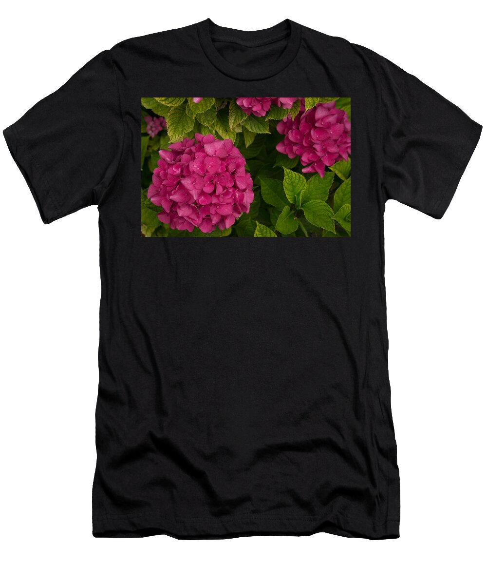 Hydrangea T-Shirt featuring the photograph Hydrangea #1 by Weir Here And There