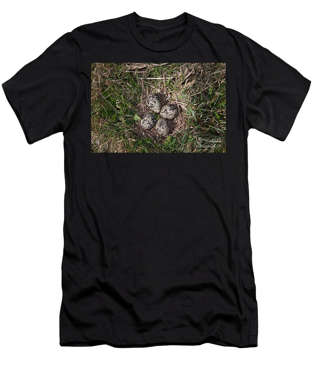 Northern Lapwing T-Shirt featuring the photograph Lapwing Nest #1 by Marcus Bosch