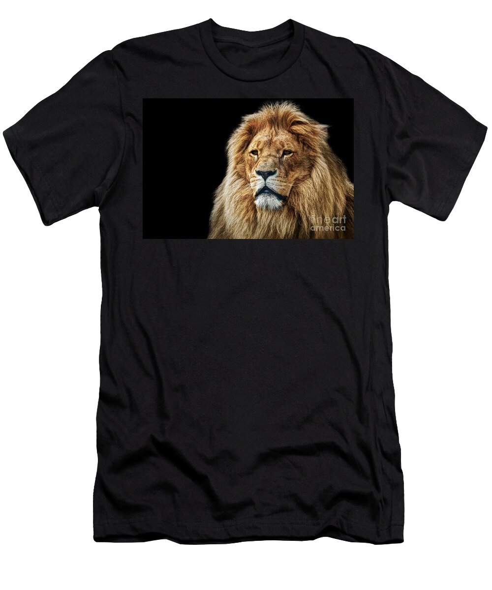 Lion T-Shirt featuring the photograph Lion portrait with rich mane on black #1 by Michal Bednarek
