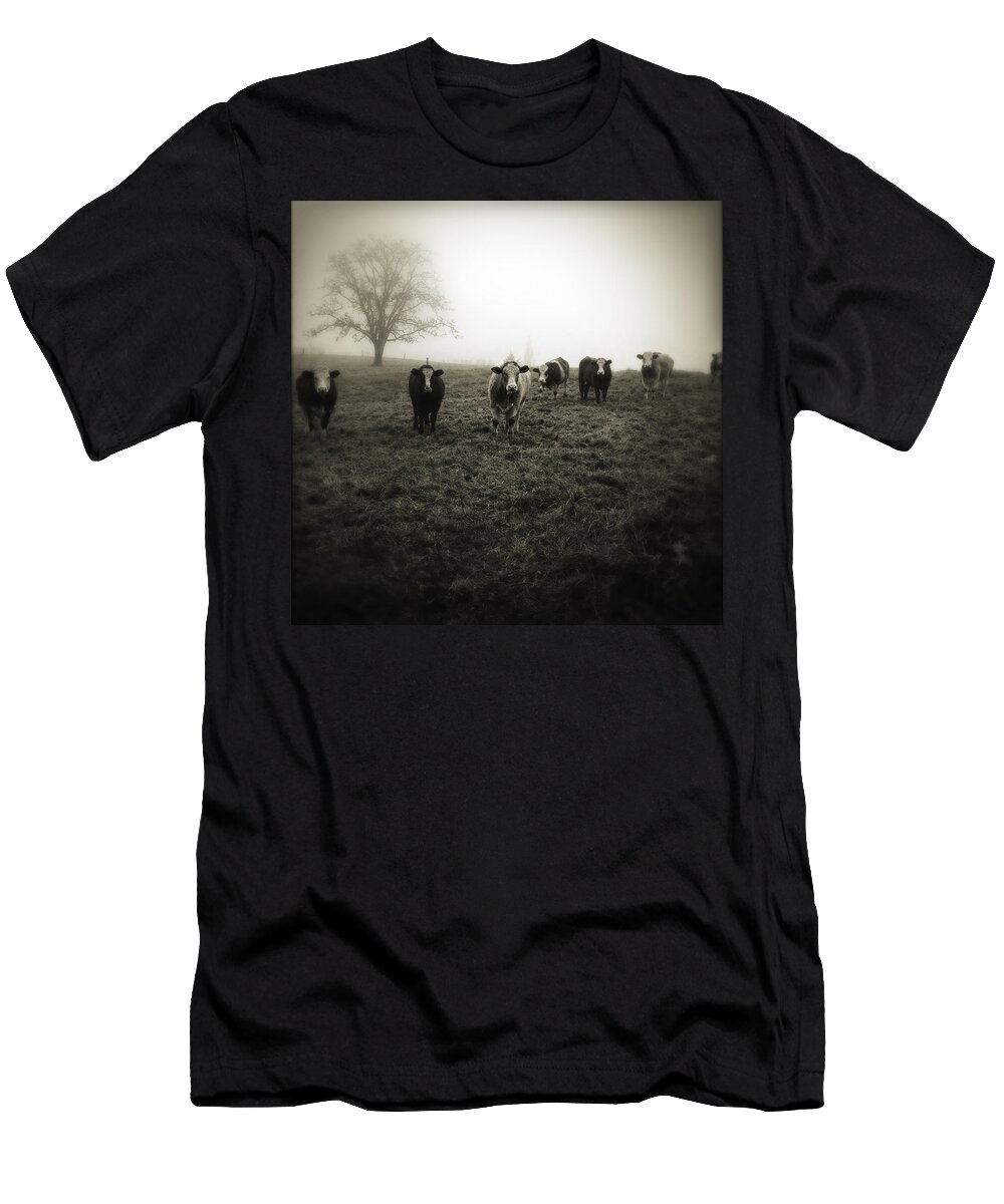Fog T-Shirt featuring the photograph Livestock #1 by Les Cunliffe