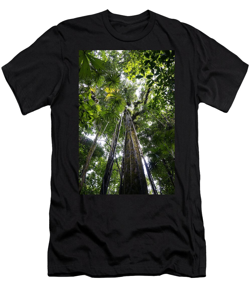Feb0514 T-Shirt featuring the photograph Looking Up To Rainforest Canopy Costa #1 by Hiroya Minakuchi