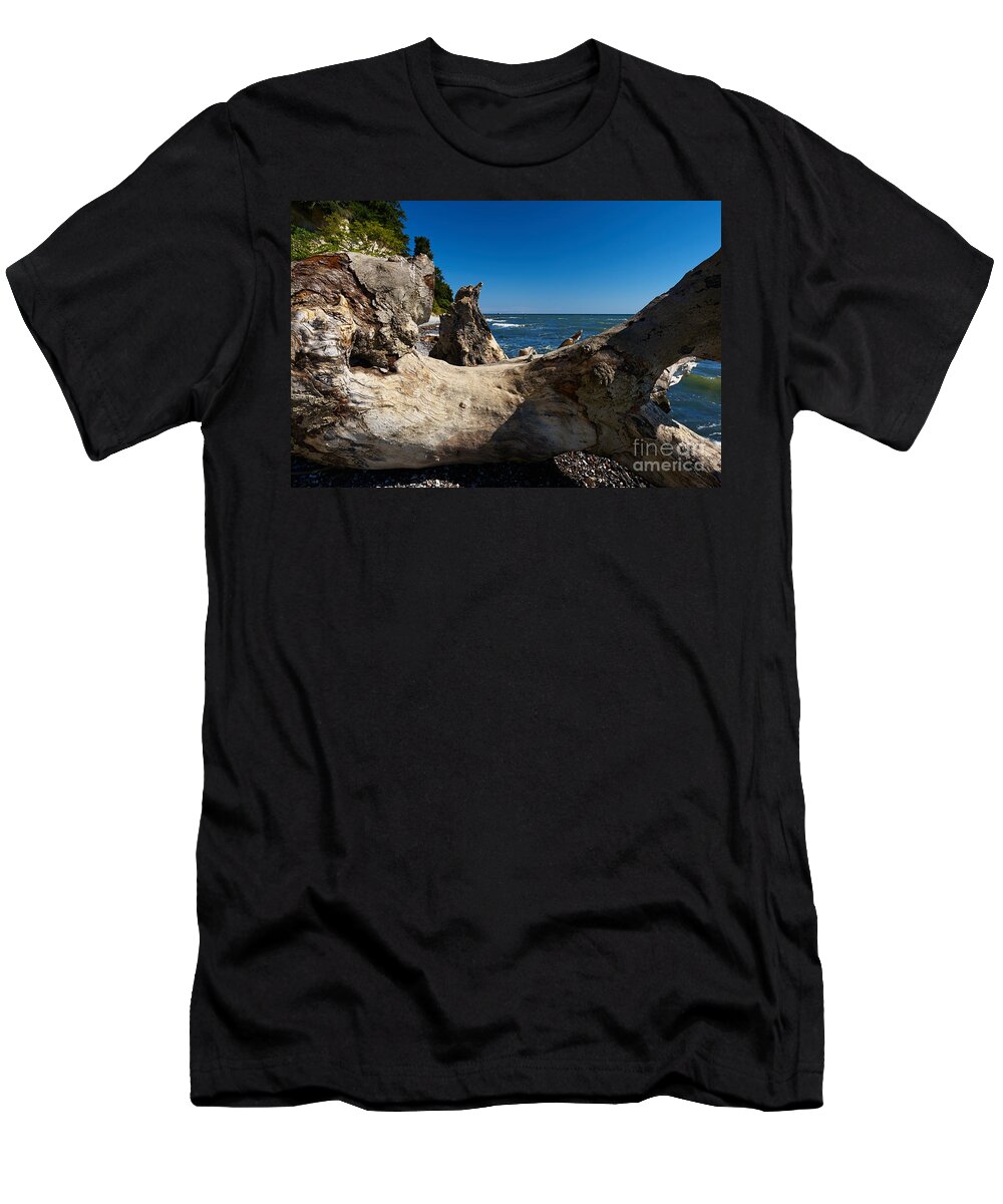 Fallen T-Shirt featuring the photograph Old tree on the coast of the Baltic Sea #1 by Nick Biemans