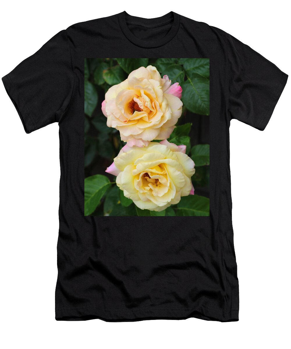Peace Rose T-Shirt featuring the photograph Peace Roses by Cathy Lindsey