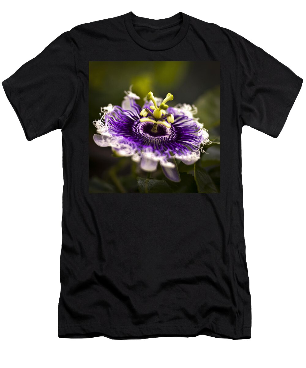 Passion T-Shirt featuring the photograph Purple Passion Flower #1 by Bradley R Youngberg