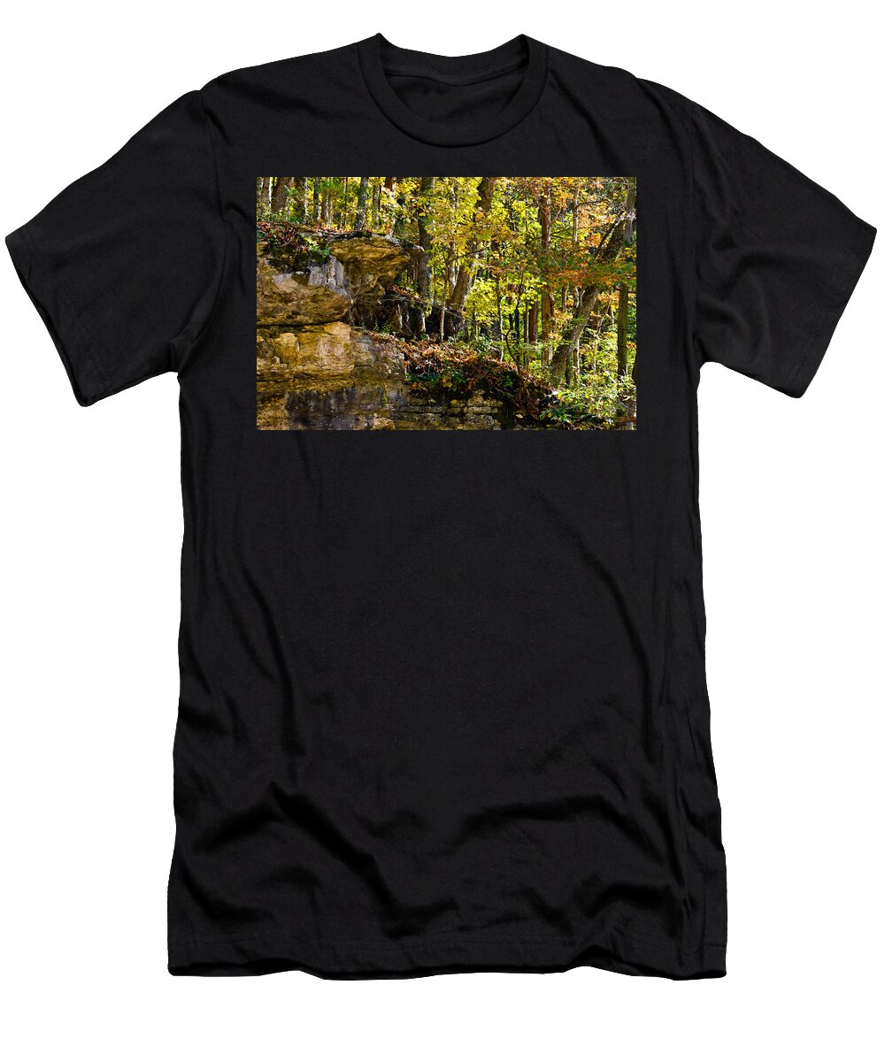 Branches T-Shirt featuring the photograph Rock Shelf and Forest #1 by Ed Gleichman