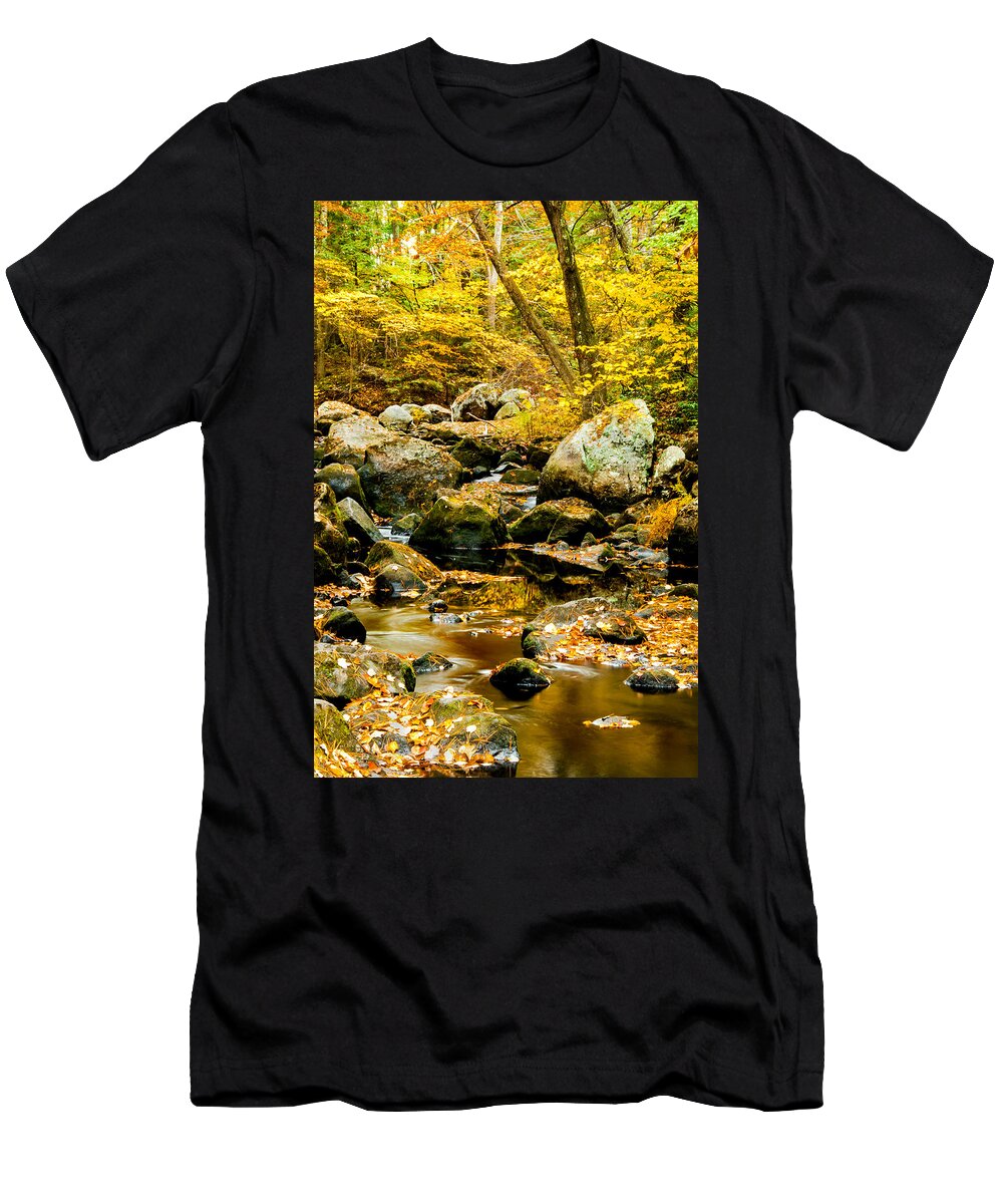 Fall T-Shirt featuring the photograph Stillness and Motion #1 by Greg Fortier