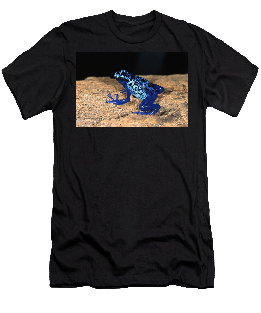 Feb0514 T-Shirt featuring the photograph Very Tiny Blue Poison Dart Frog #1 by San Diego Zoo