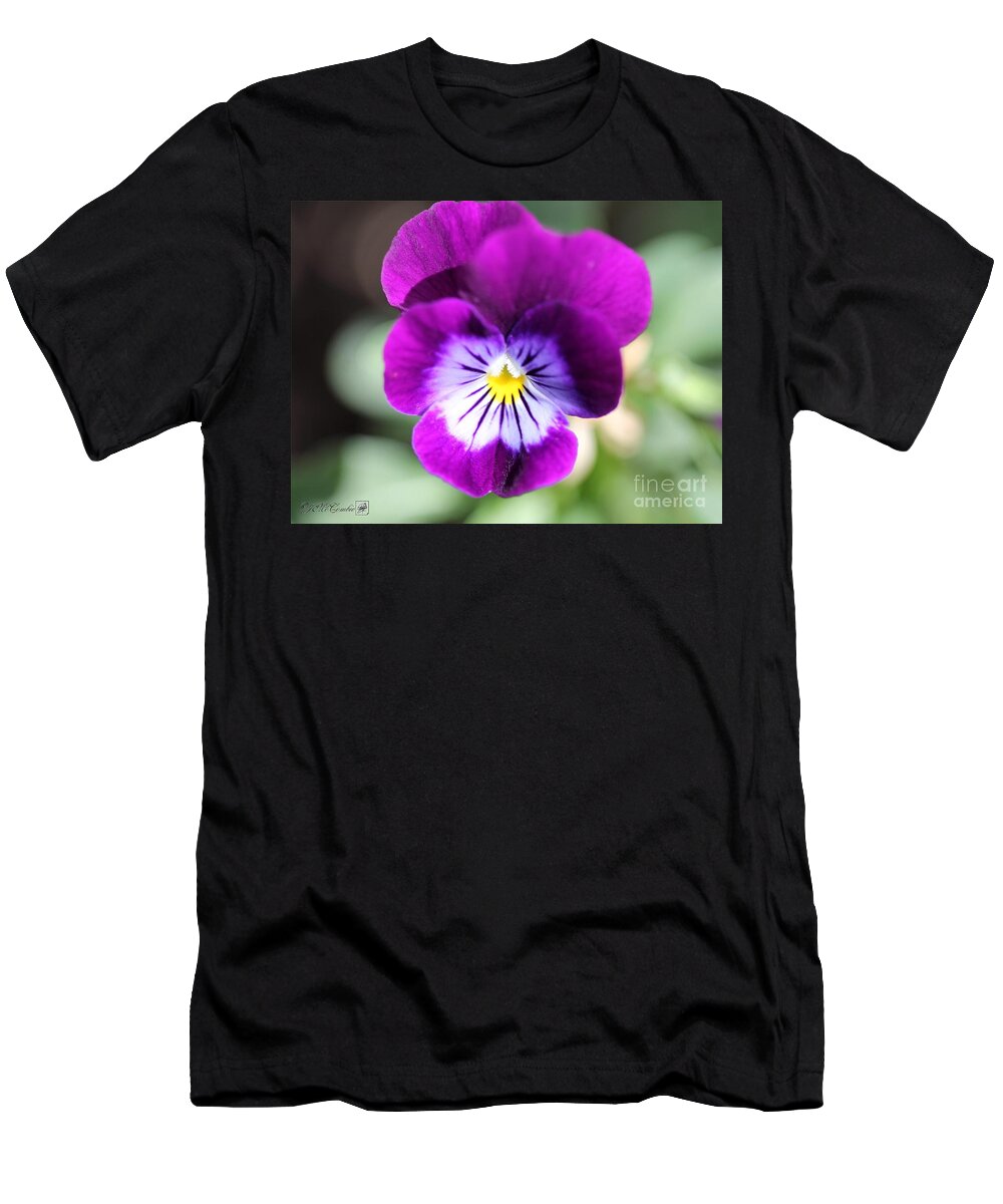 Mccombie T-Shirt featuring the photograph Viola named Sorbet Plum Velvet Jump-Up #1 by J McCombie