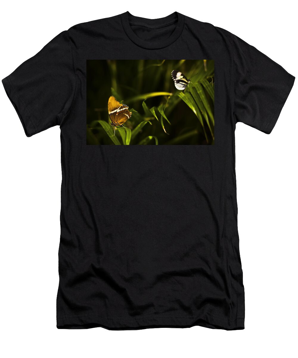 Butterfly T-Shirt featuring the photograph Butterfly #15 by Bradley R Youngberg