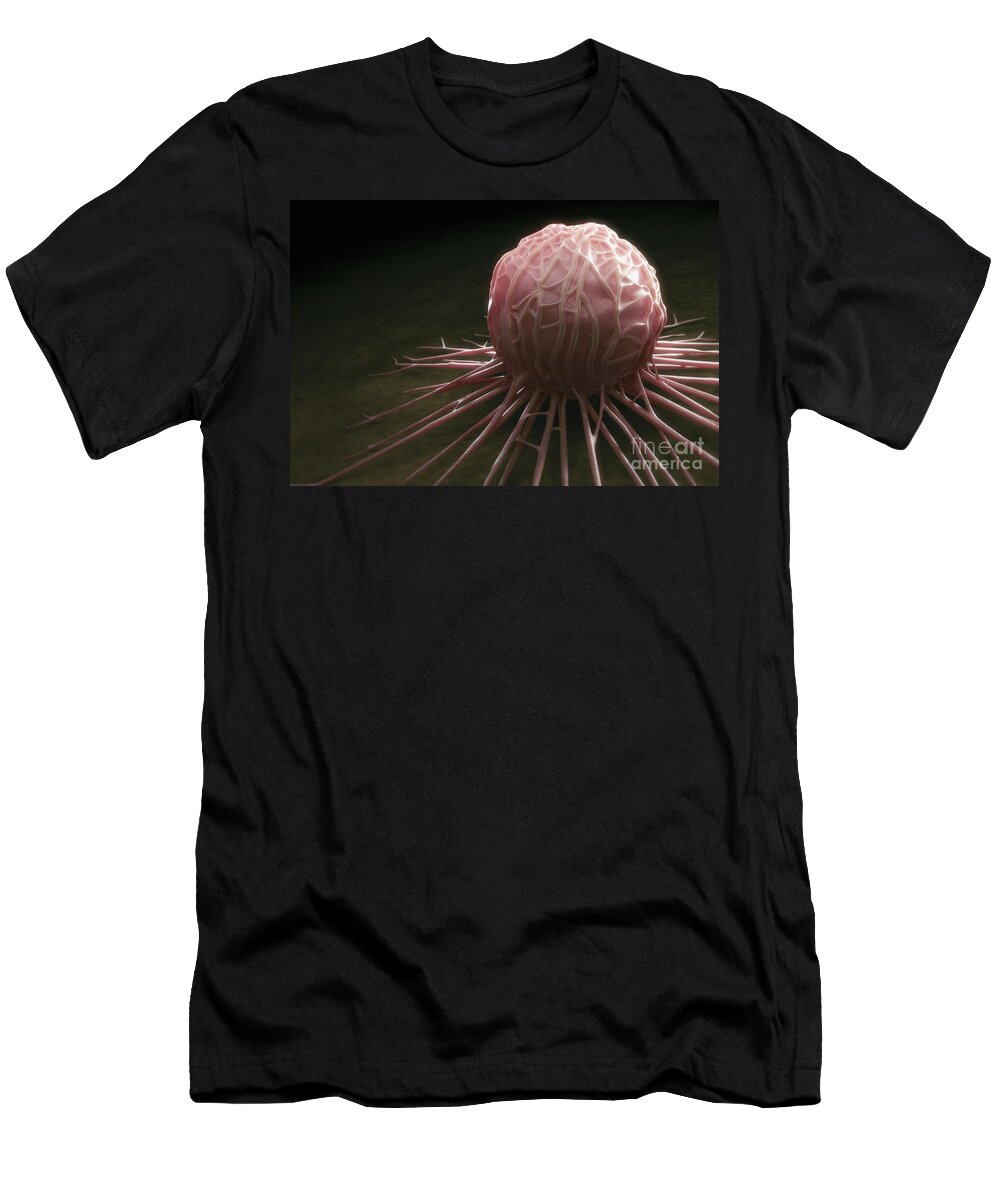 Cells T-Shirt featuring the photograph Cancer Cell #12 by Science Picture Co