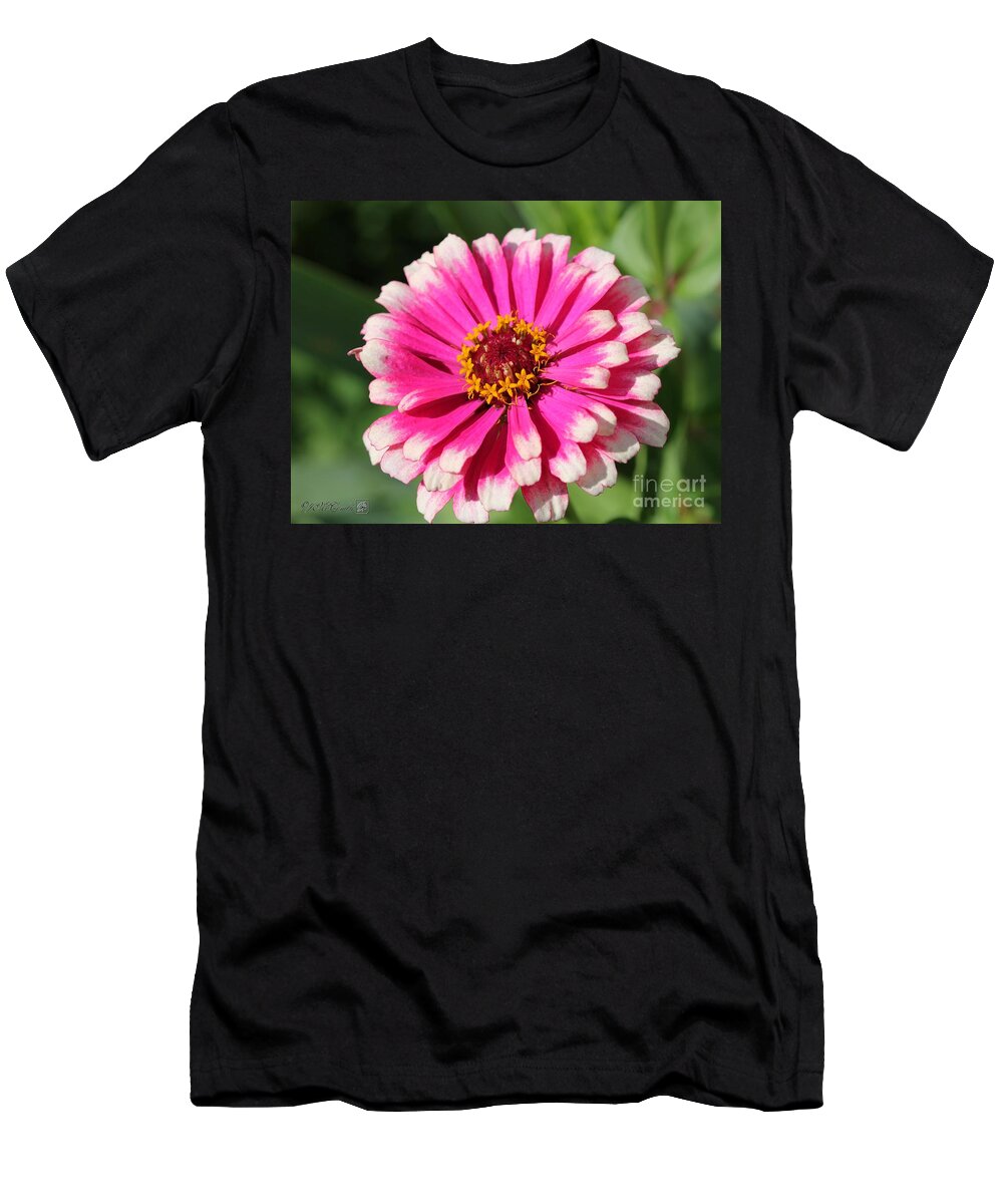Mccombie T-Shirt featuring the photograph Zinnia from the Whirlygig Mix #16 by J McCombie