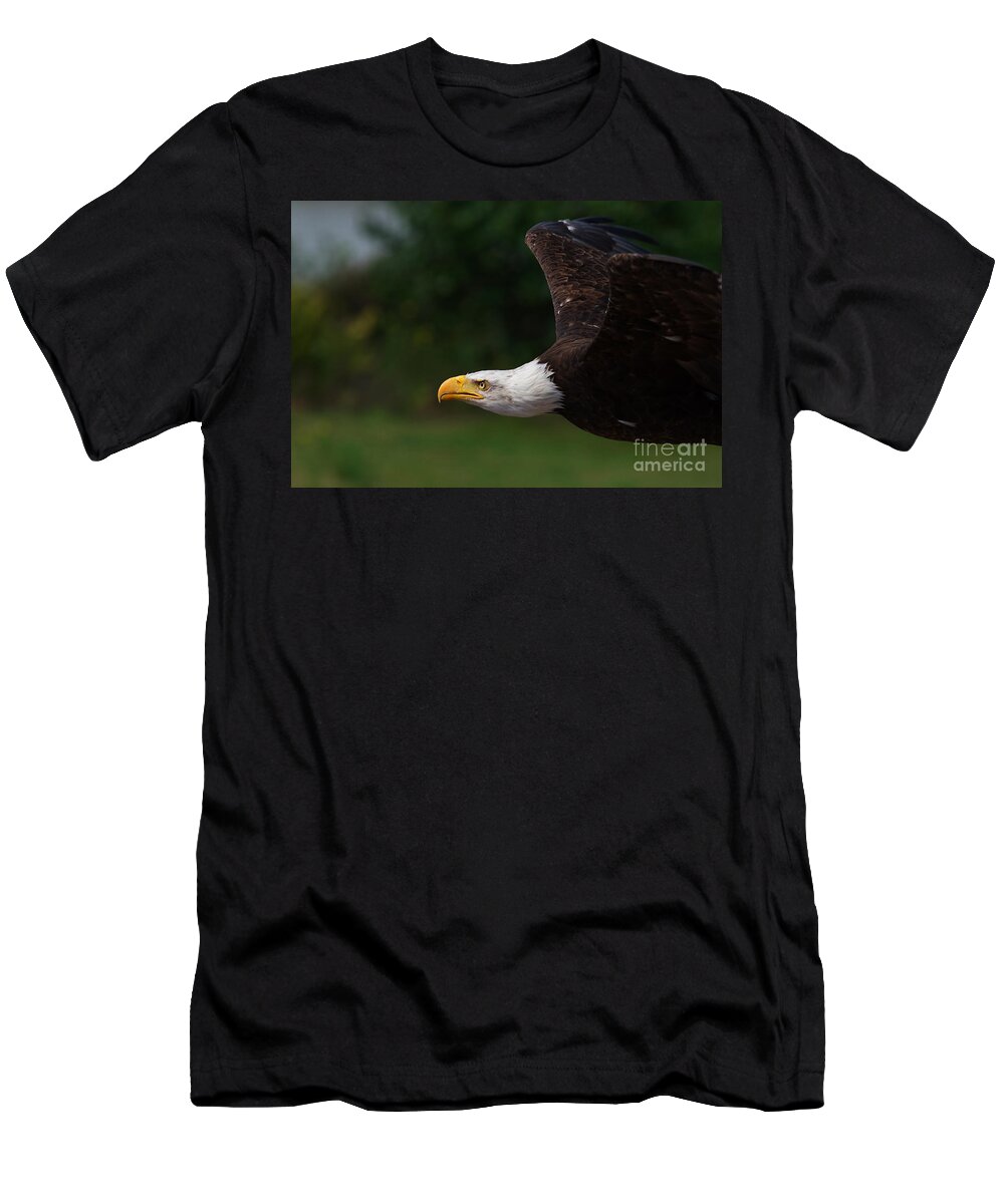 American T-Shirt featuring the photograph American Bald Eagle in flight #2 by Nick Biemans