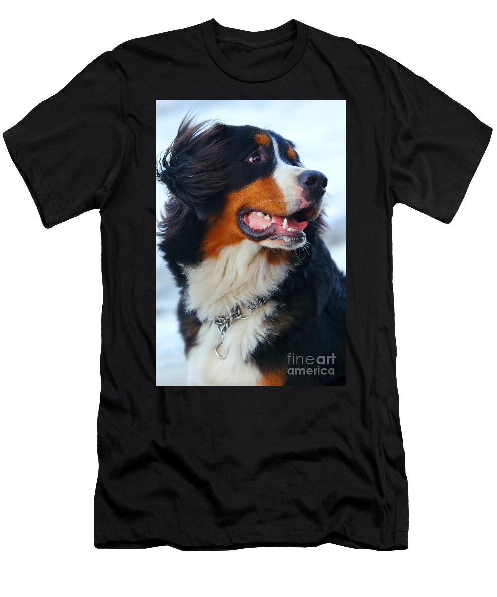 Active T-Shirt featuring the photograph Beautiful dog portrait #2 by Michal Bednarek