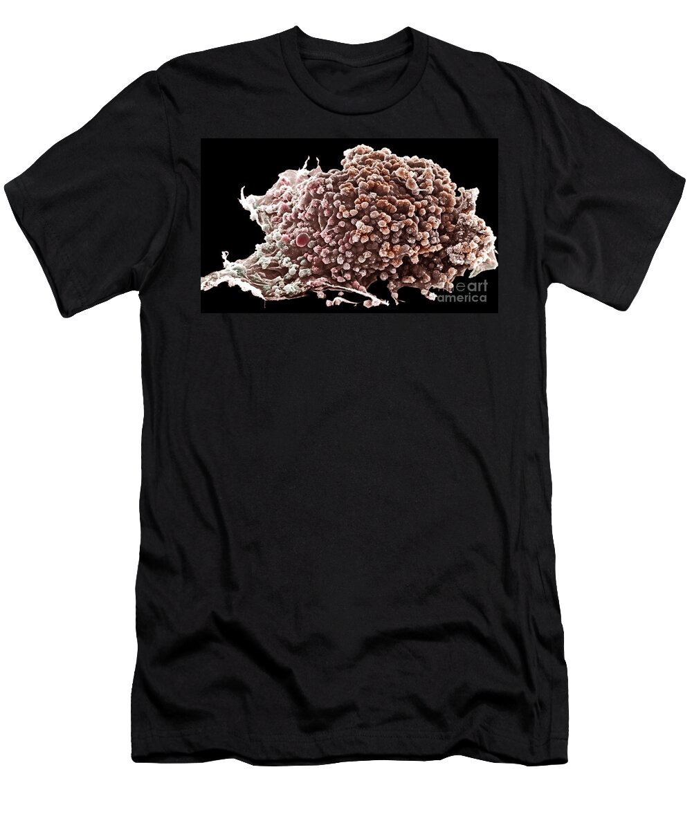 Cancer T-Shirt featuring the photograph Cancer Cell #2 by David M. Phillips