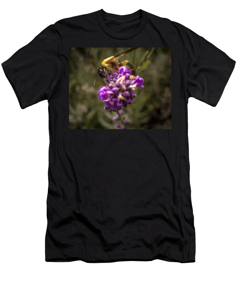 Flower T-Shirt featuring the photograph Carpenter Bee on a Lavender Spike by Ron Pate