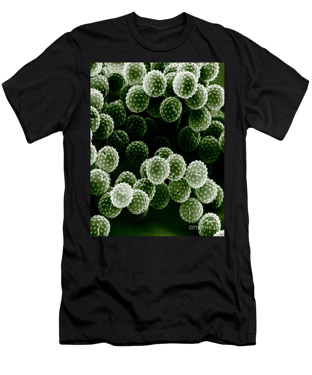 Allergen T-Shirt featuring the photograph Ragweed Pollen Sem #2 by David M. Phillips / The Population Council