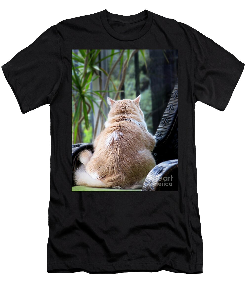 Cats T-Shirt featuring the photograph Rainy Day Blues #1 by Ellen Cotton