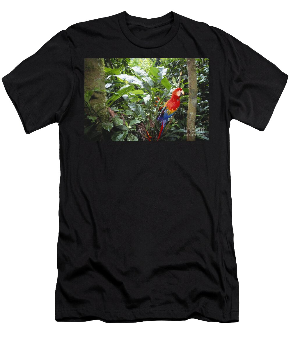 Full Length T-Shirt featuring the photograph Scarlet Macaw by Art Wolfe