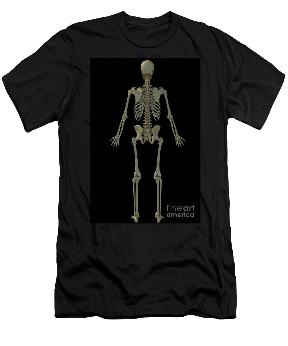 Tibia T-Shirt featuring the photograph The Skeleton #20 by Science Picture Co