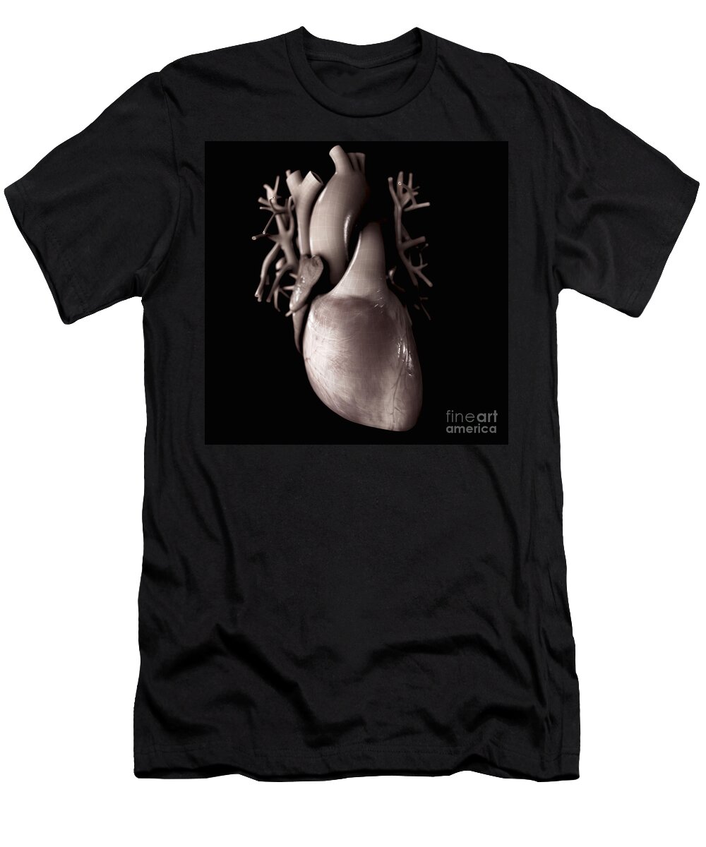 Organs T-Shirt featuring the photograph Heart Anatomy #23 by Science Picture Co