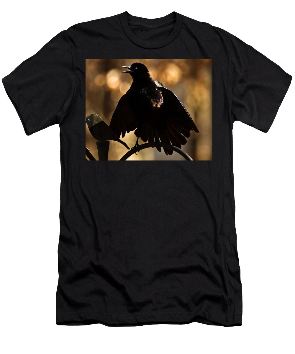 Common Grackle T-Shirt featuring the photograph Common Grackle #3 by Robert L Jackson
