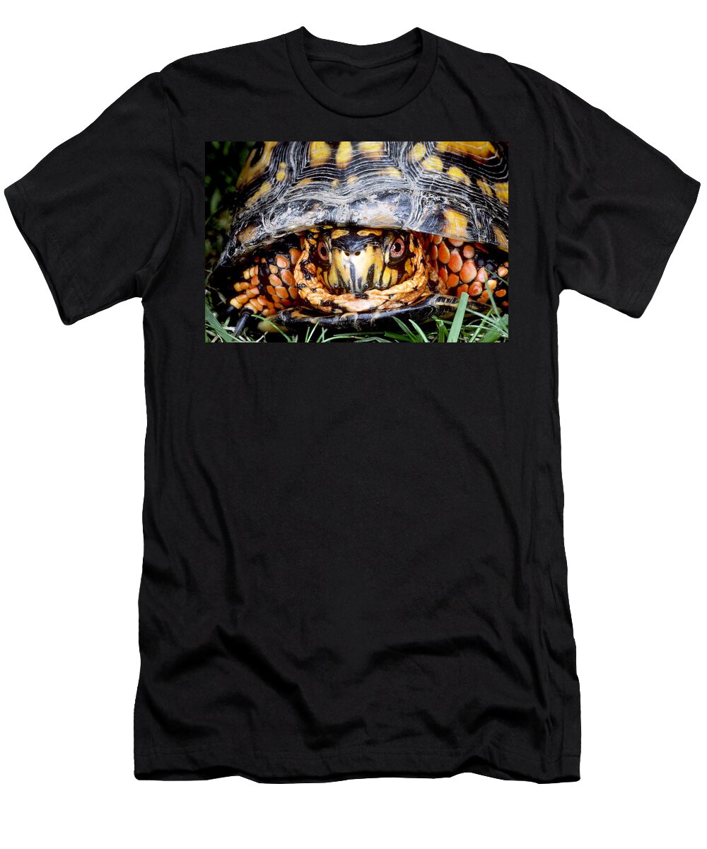 Eastern Box Turtle T-Shirt featuring the photograph Eastern Box Turtle #3 by Millard H. Sharp