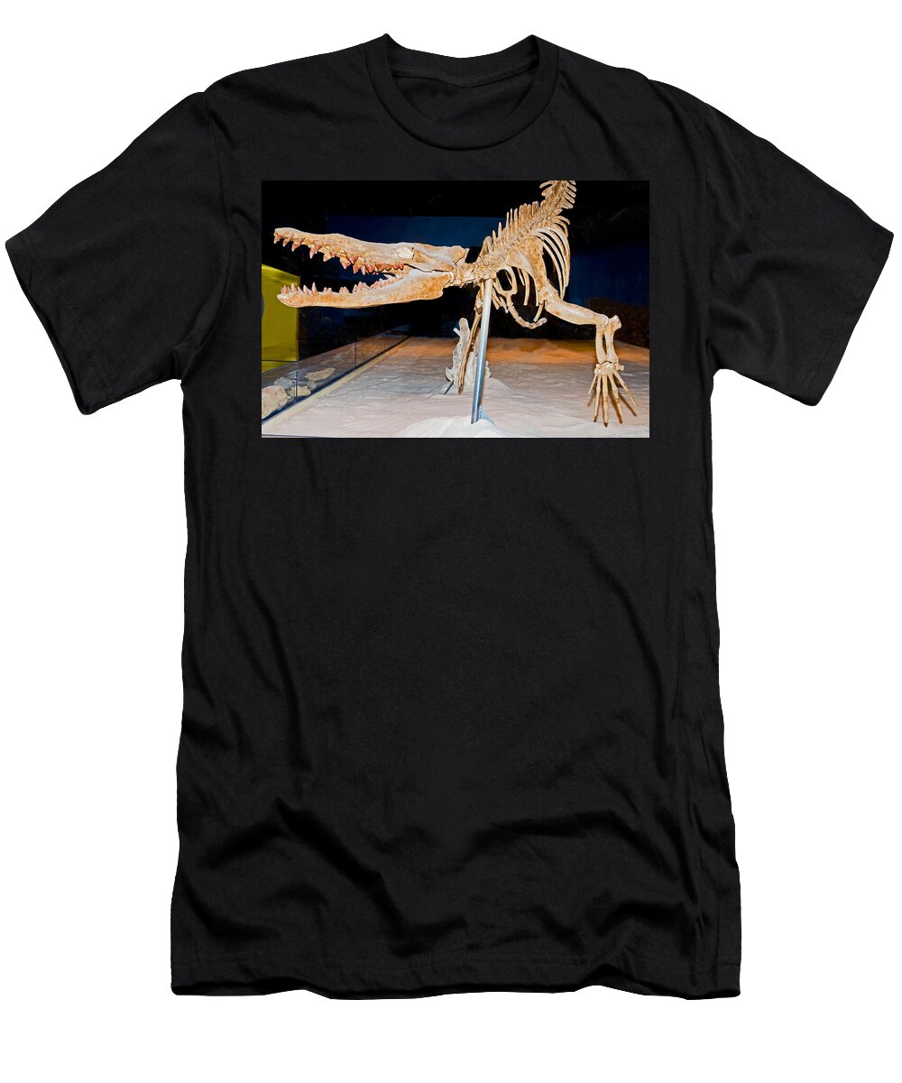 Nature T-Shirt featuring the photograph Vogtle Whale Skeleton by Millard H. Sharp