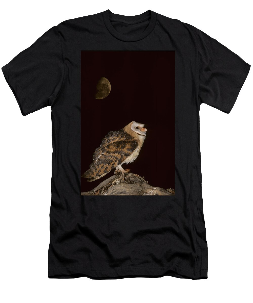 Wildlife T-Shirt featuring the photograph Barn Owl Tyto Alba, Barn Owl Sitting #4 by David Santiago Garcia