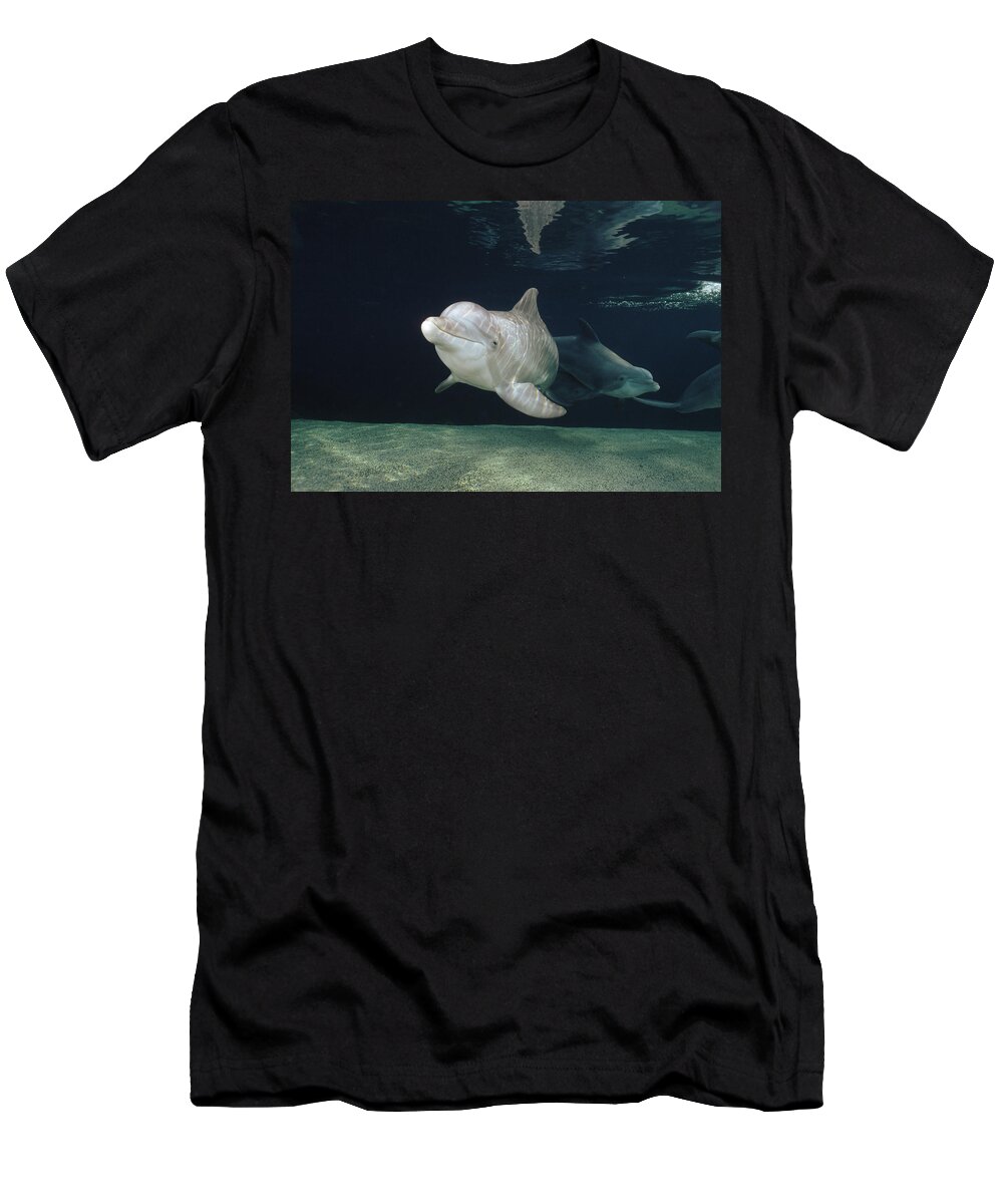 Feb0514 T-Shirt featuring the photograph Bottlenose Dolphin Pair Hawaii by Flip Nicklin