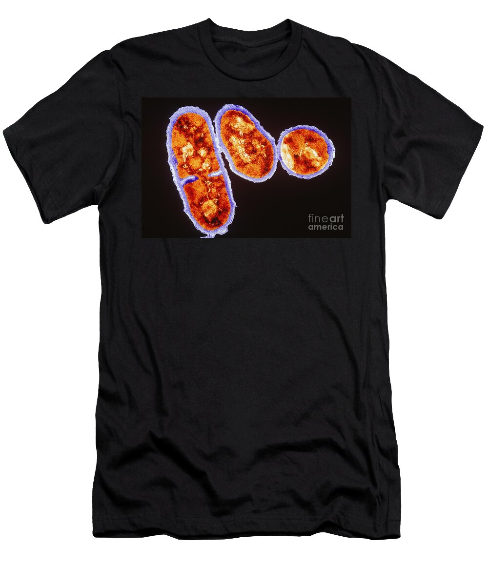 Propionibacterium Acnes T-Shirt featuring the photograph Tem Propionibacterium Acnes #5 by Kwangshin Kim