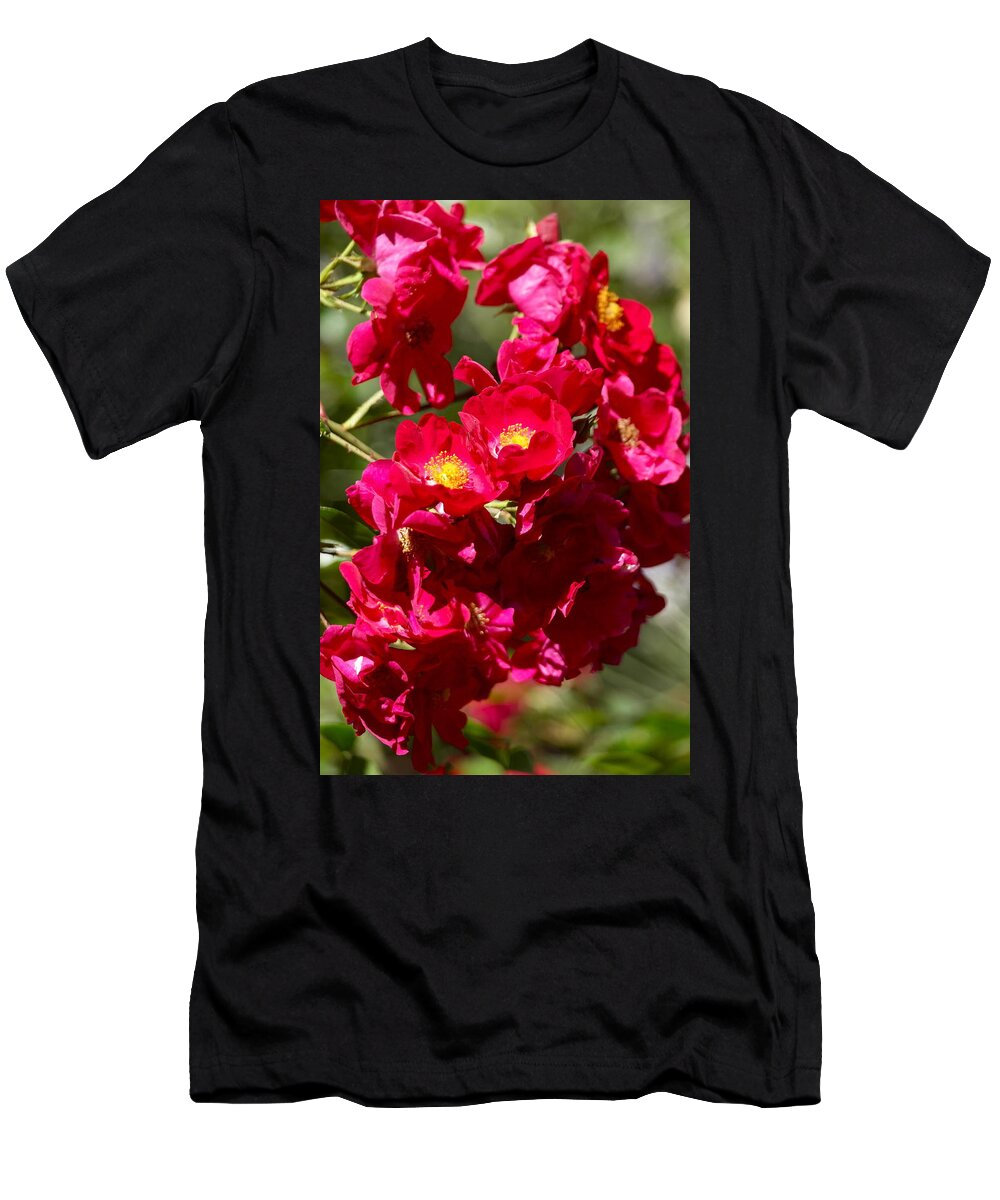 Roses T-Shirt featuring the photograph A Cluster of Roses by Michele Myers