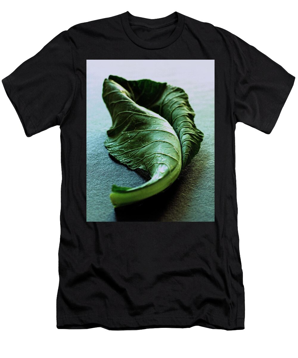 Nobody T-Shirt featuring the photograph A Collard Leaf by Romulo Yanes