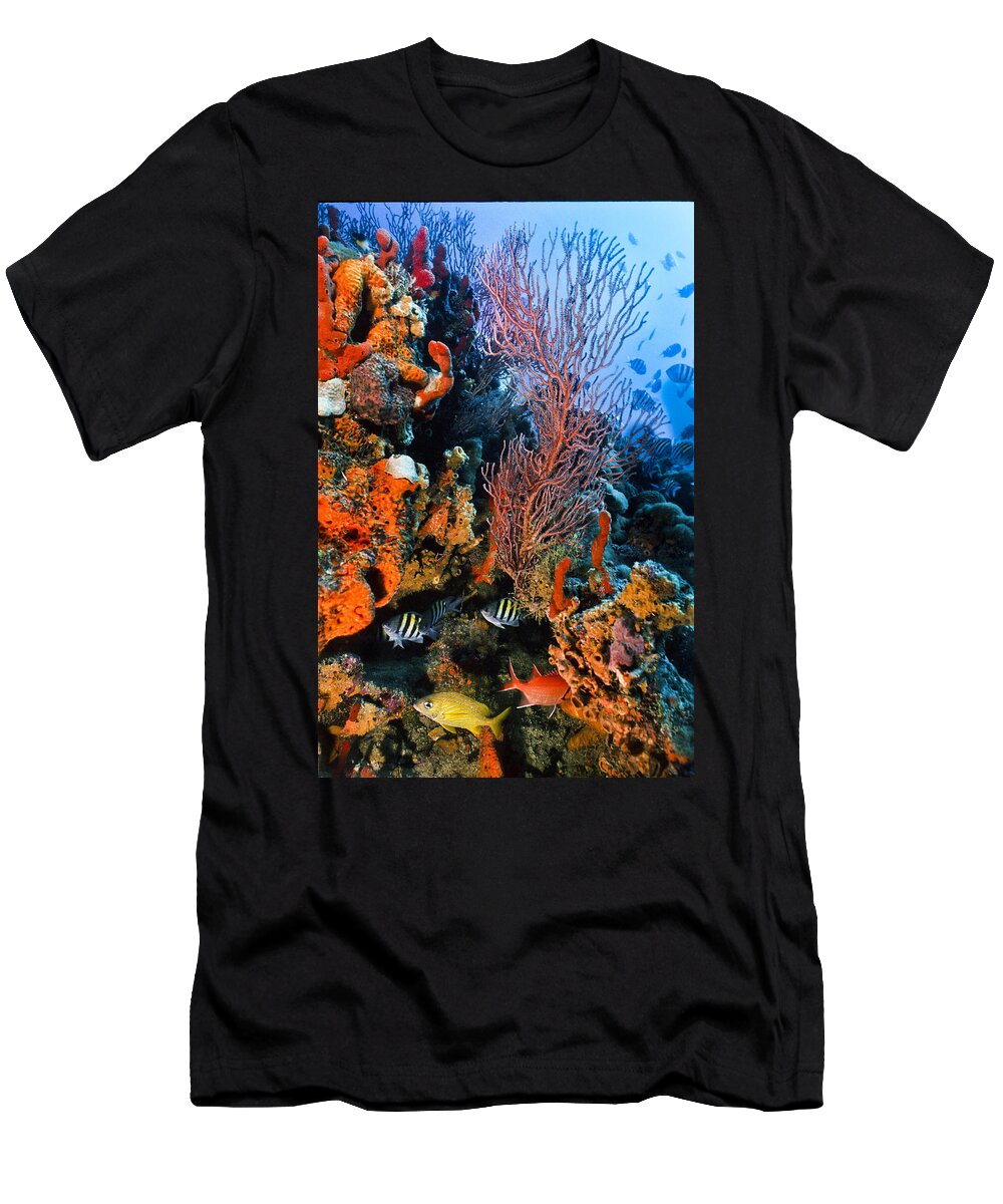 Angle T-Shirt featuring the photograph A Colorful Ledge by Sandra Edwards