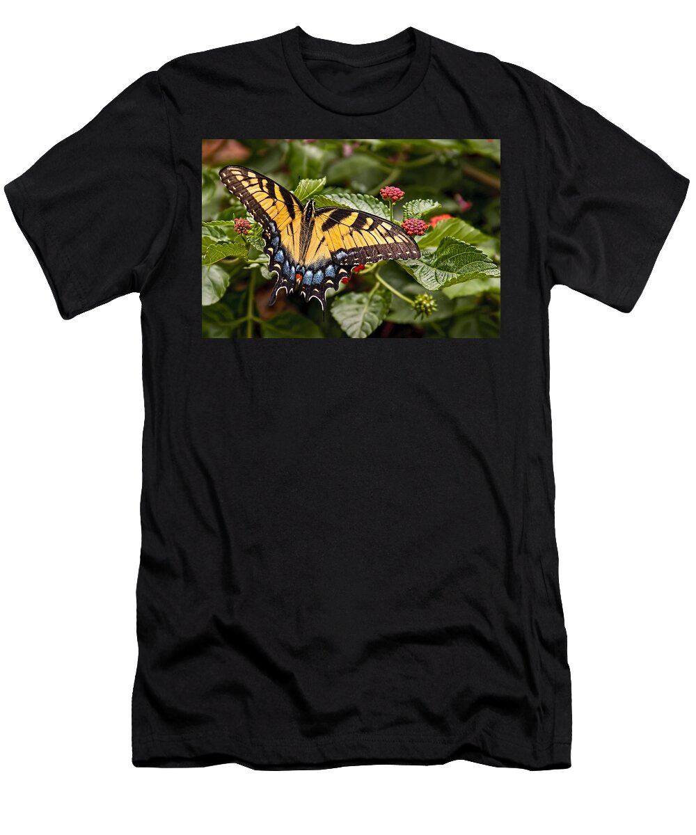 Animal T-Shirt featuring the photograph A Moments Rest by Penny Lisowski
