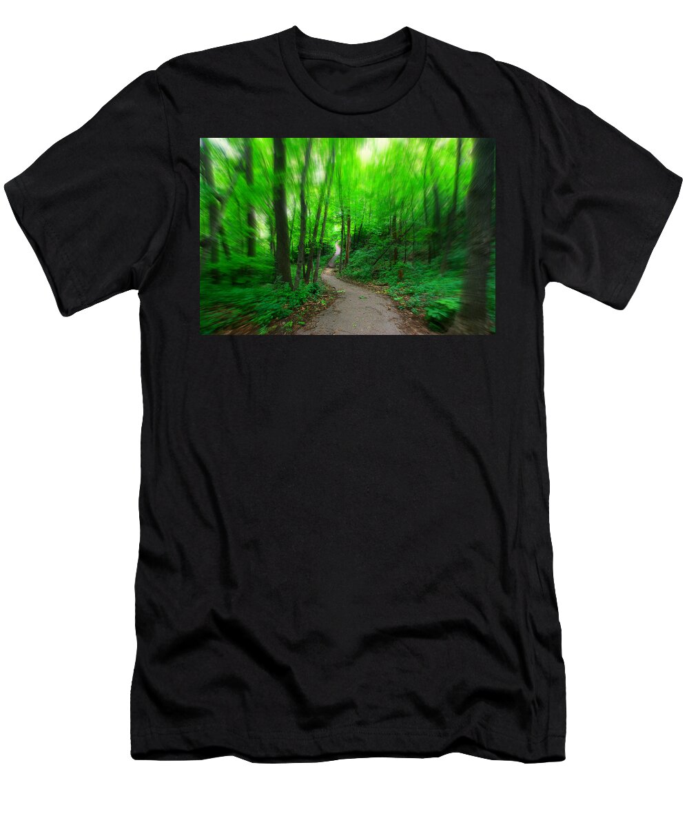 Path T-Shirt featuring the photograph A Summer Trail by Amanda Stadther