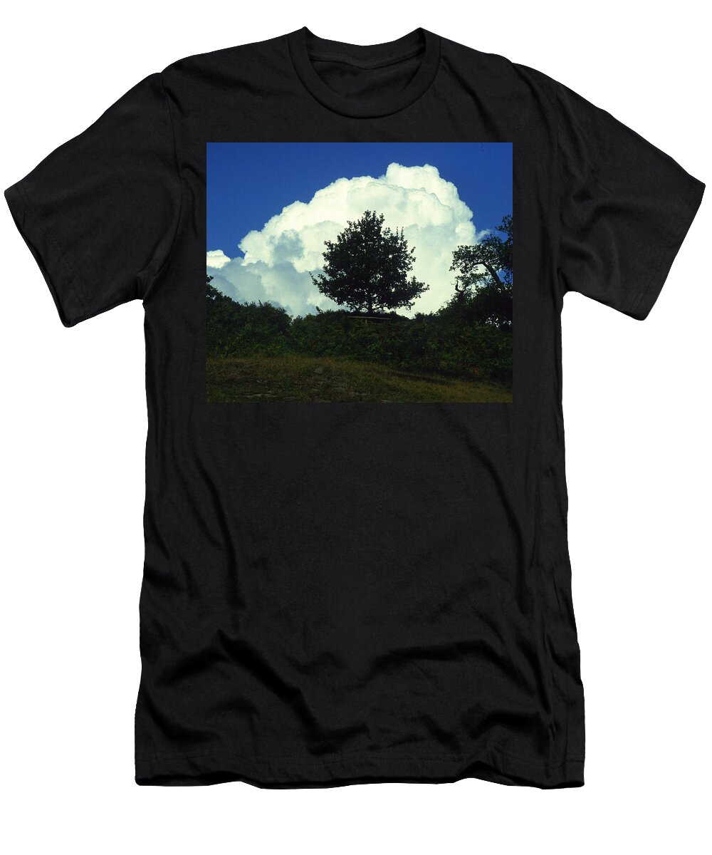 Tree T-Shirt featuring the photograph A Tree in a Cloud by Gordon James