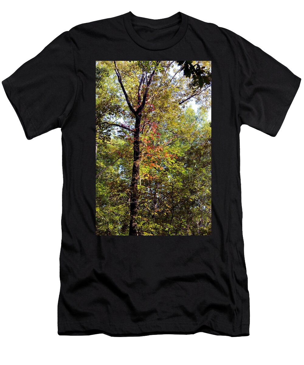 A Tree's Life T-Shirt featuring the photograph A Tree's Life by Maria Urso