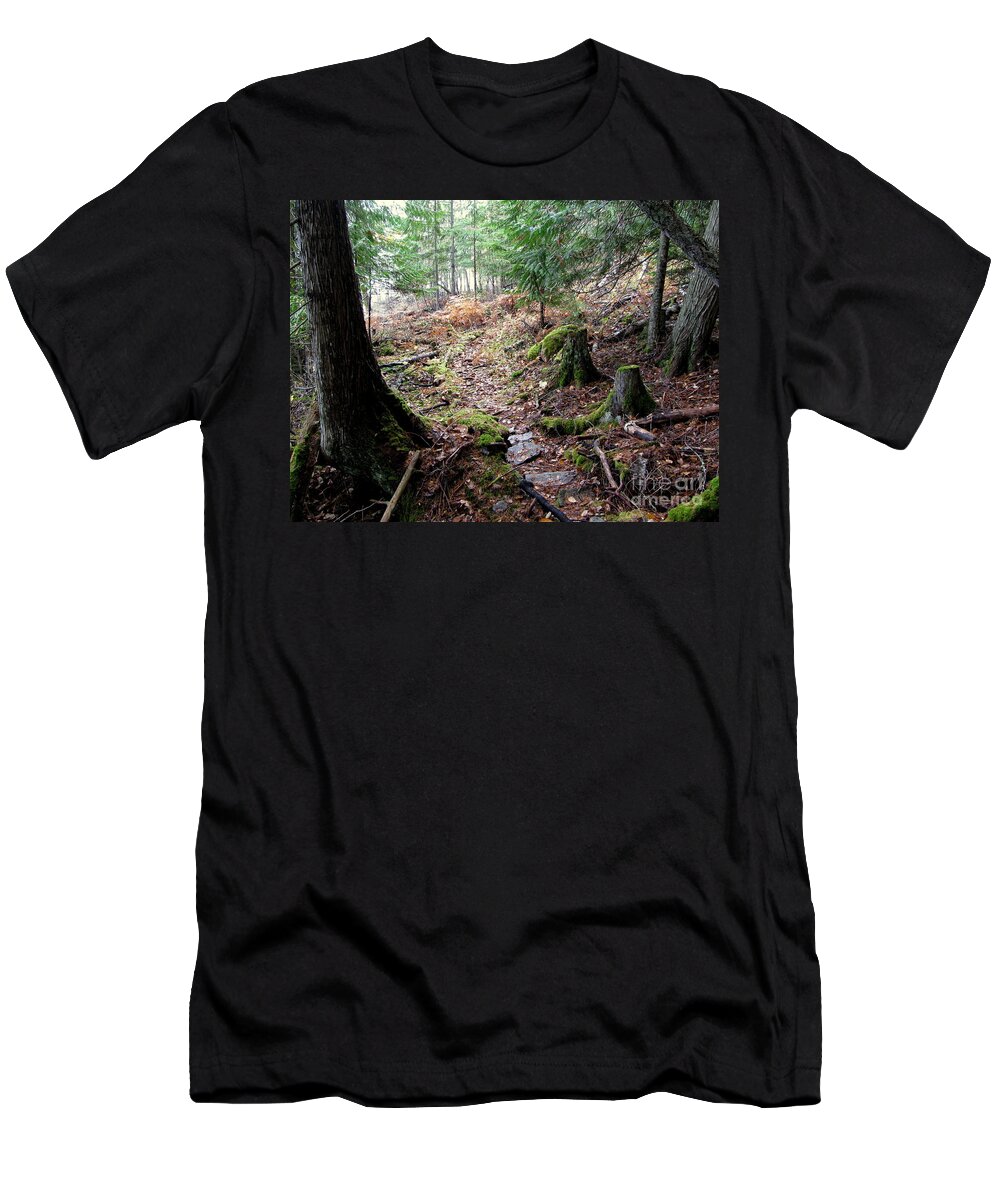 Forest T-Shirt featuring the photograph A Walk in the Forest by Leone Lund