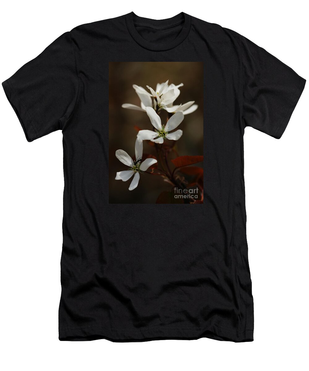 Ant T-Shirt featuring the photograph Above The Coppery-Red by Linda Shafer