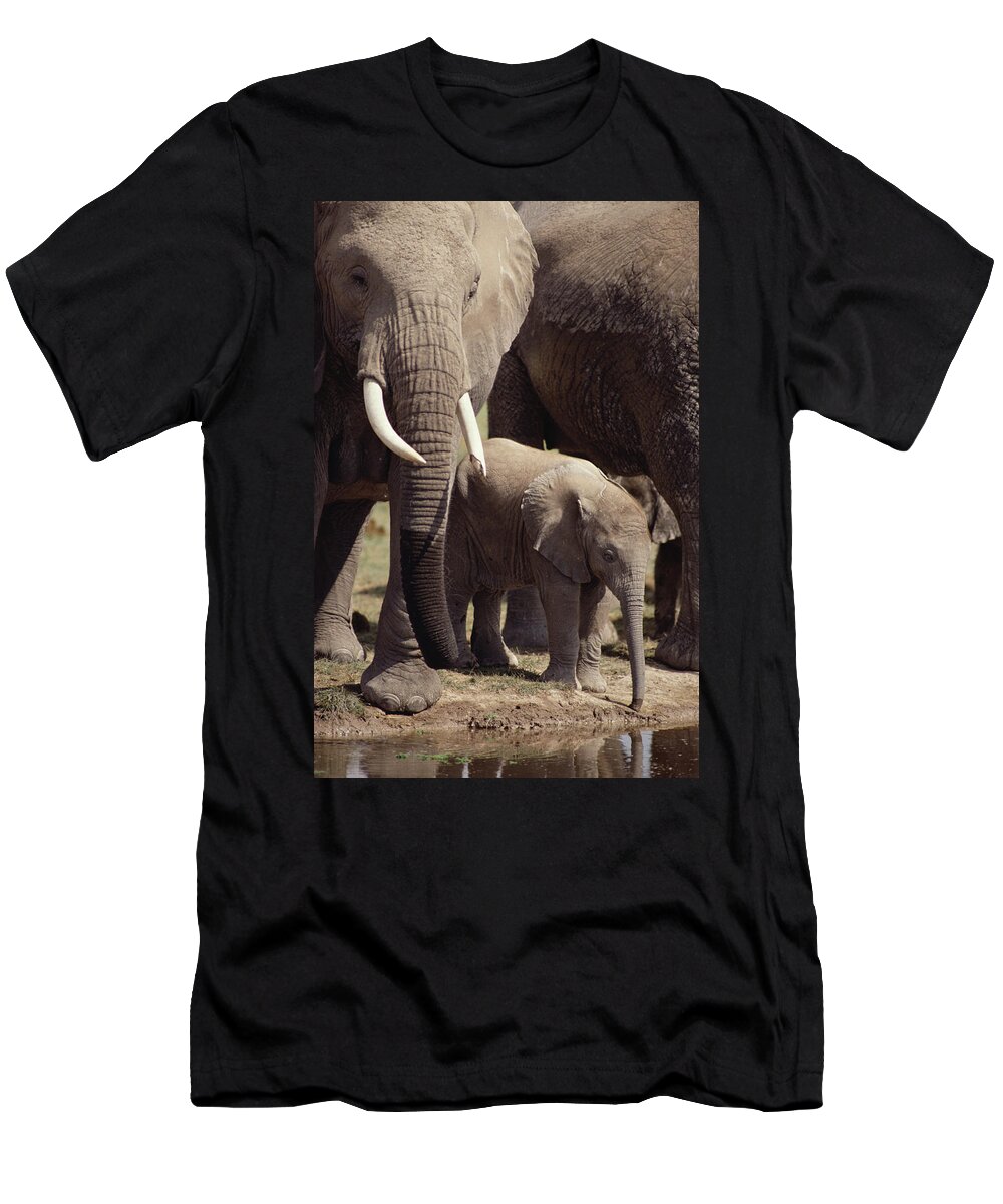 Feb0514 T-Shirt featuring the photograph African Elephants And Baby At Waterhole by Gerry Ellis