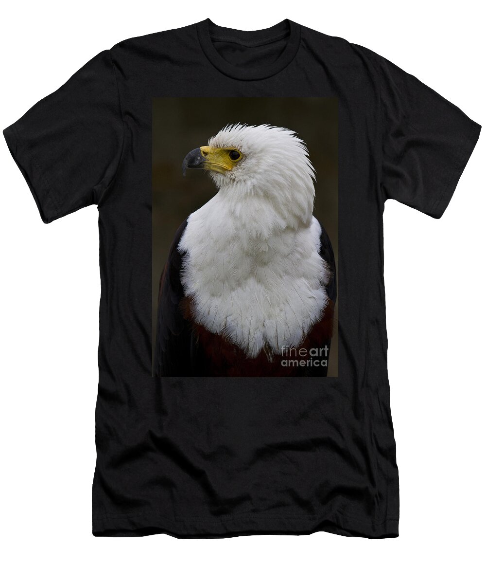 Bird Of Prey T-Shirt featuring the photograph African fish eagle 4 by Heiko Koehrer-Wagner
