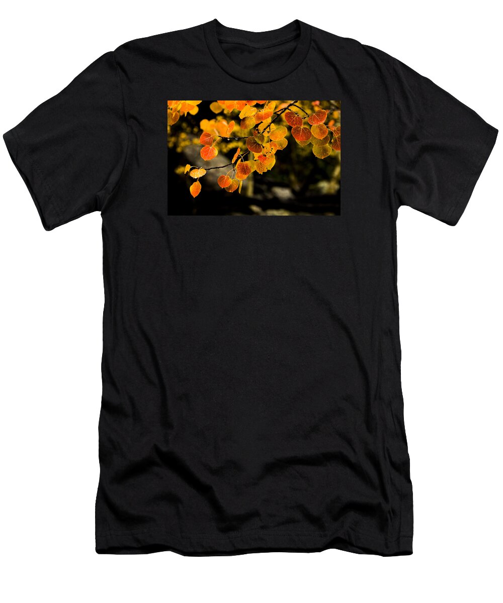 Fall T-Shirt featuring the photograph After Rain by Chad Dutson