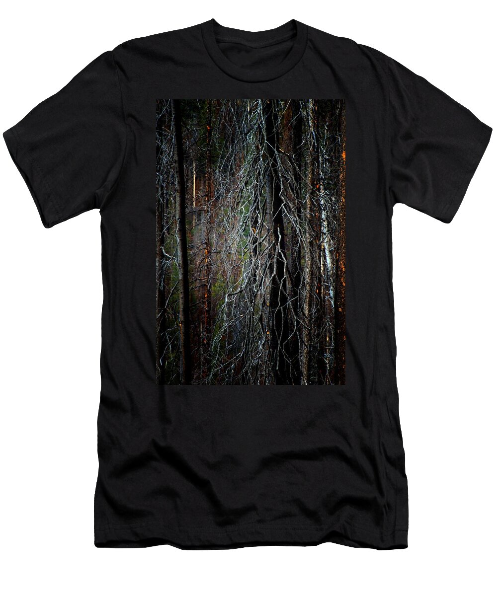 Abstract T-Shirt featuring the photograph After the Burn2 by Newel Hunter