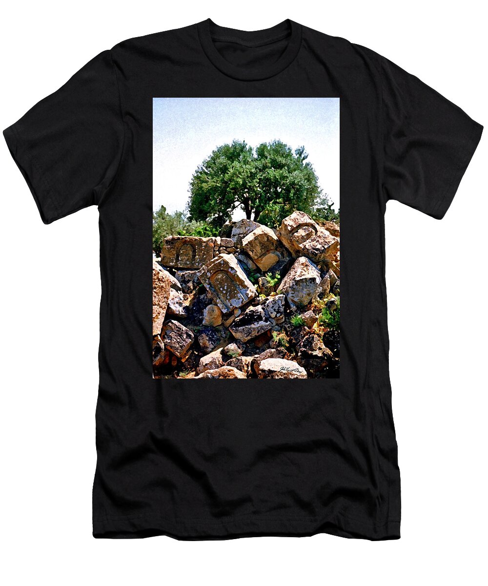 Italy T-Shirt featuring the digital art Agrigento 1 by John Vincent Palozzi