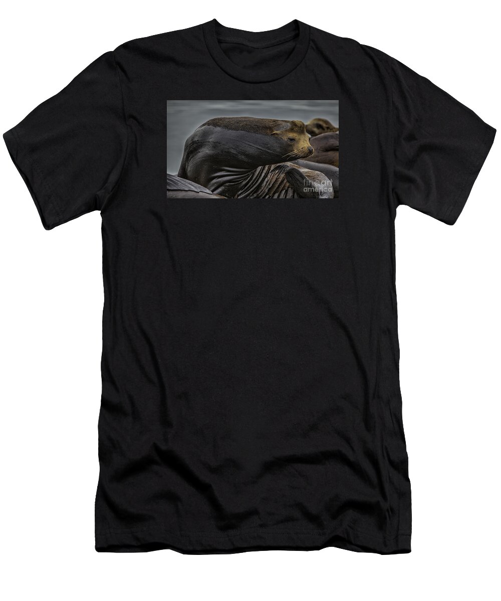 Wild T-Shirt featuring the photograph All in a days work by David Millenheft