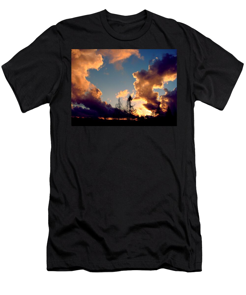 Landscape T-Shirt featuring the photograph All Kinds Of Weather by Rory Siegel