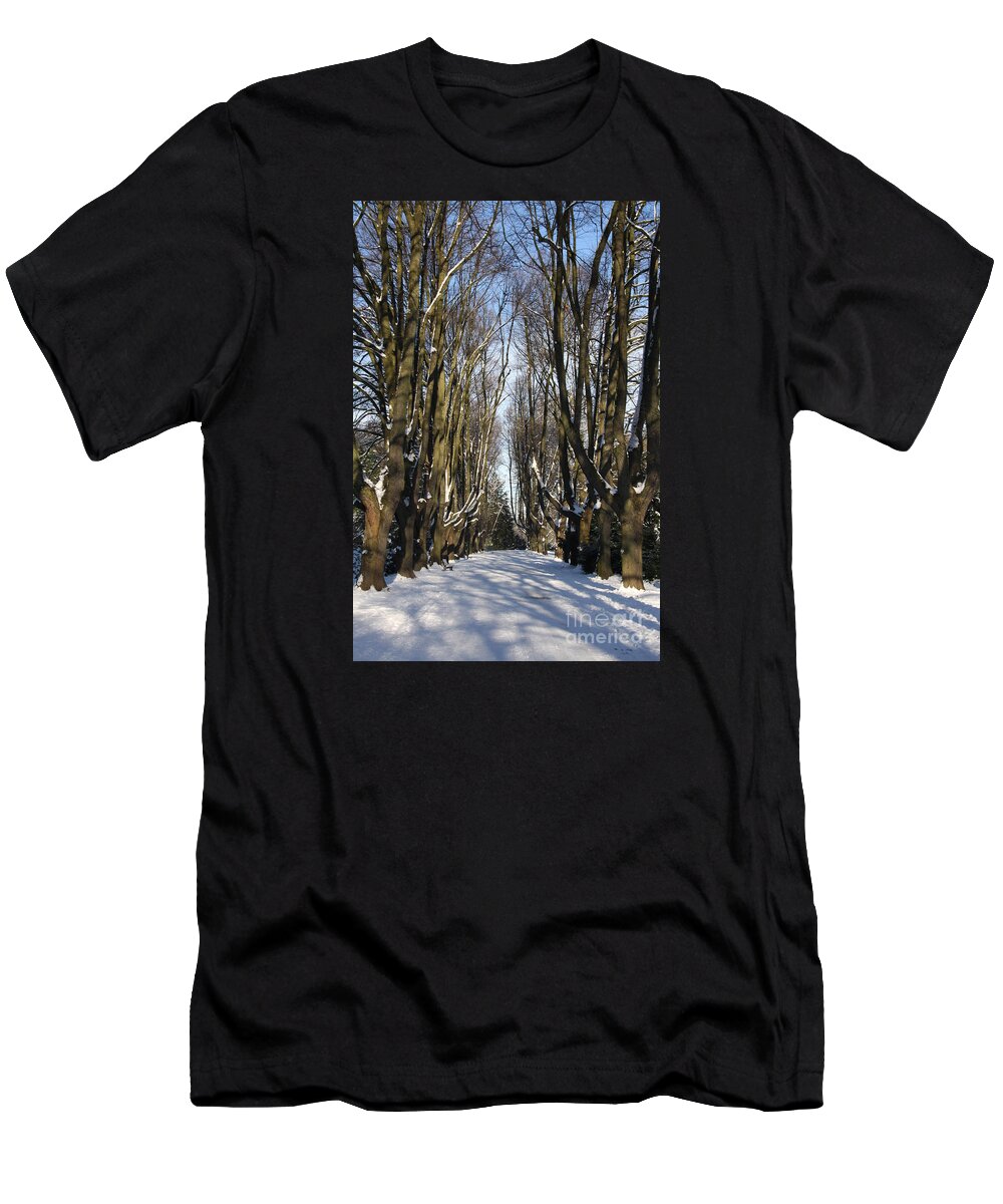 Trees T-Shirt featuring the photograph Alley In The Snow by Christiane Schulze Art And Photography
