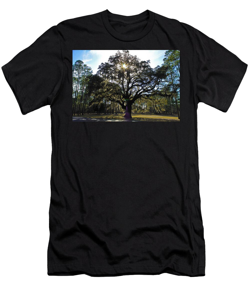 Tree T-Shirt featuring the photograph An old oak tree by Jessica Brown