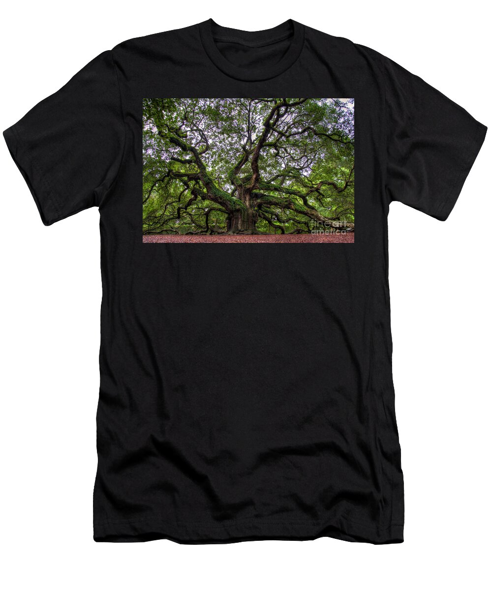Tree T-Shirt featuring the photograph Angel Oak Tree by Douglas Stucky